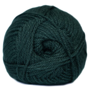 Charity Chunky Plain 100G Colour 024 - Bottle